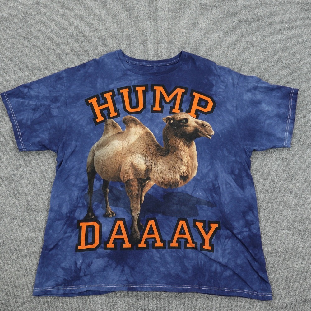 The Mountain T-Shirt Mens XL Blue Hump Daay Camel Graphic Tie Dye Short Sleeve‎